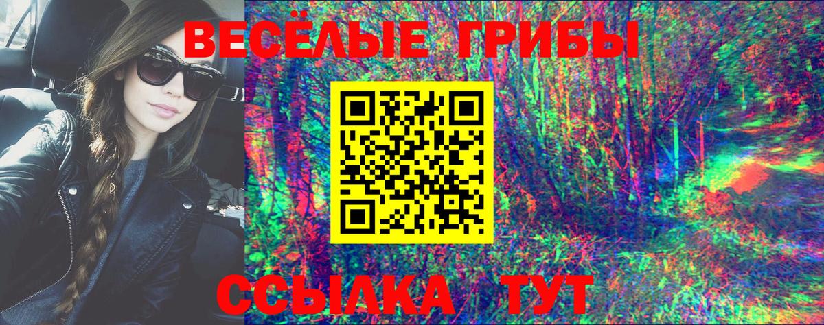 Псилоцибиновые грибы прущие грибы  Псилоцибиновые грибы прущие грибы  Камень-на-Оби  Вход с VPN 