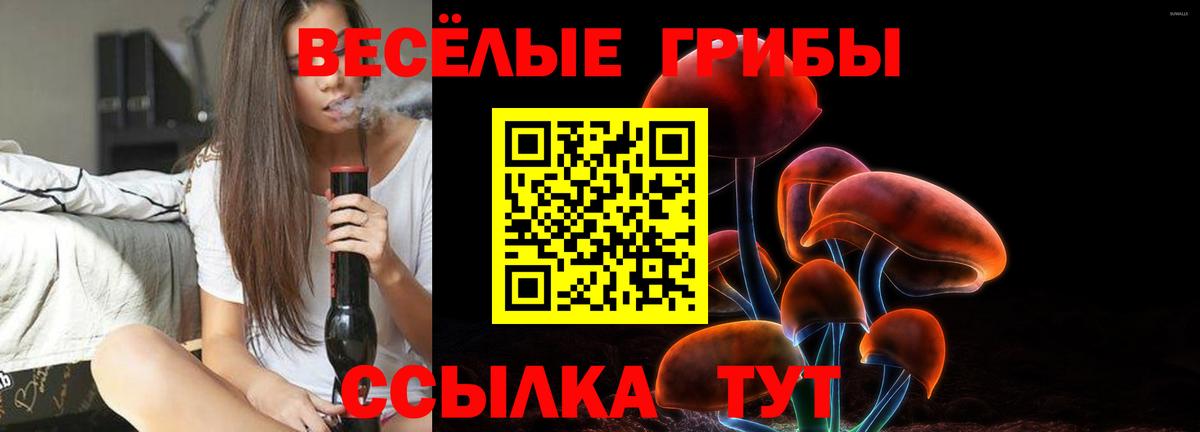 Псилоцибиновые грибы Psilocybine cubensis Камень-на-Оби